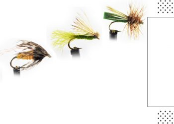 Caddis Fly Patterns