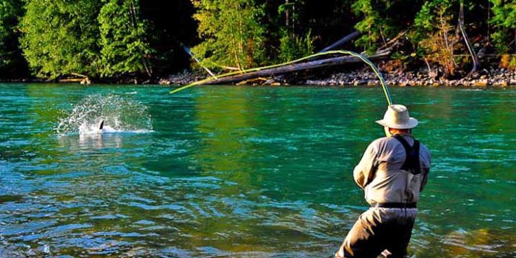 fly casting techniques