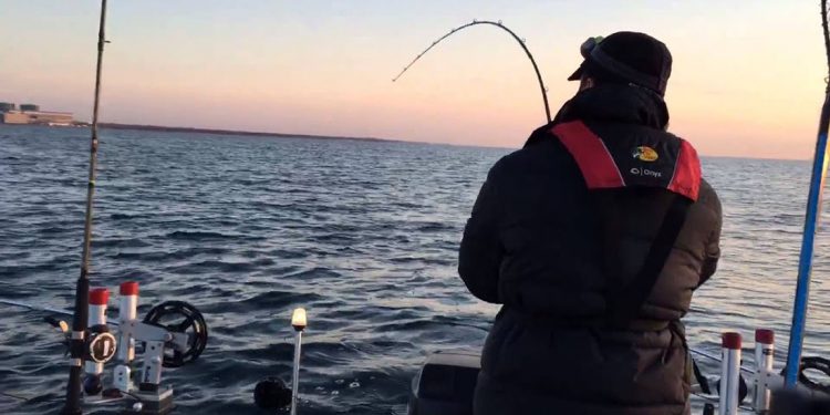 lake michigan salmon fishing