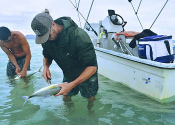 Guided Fishing Trips