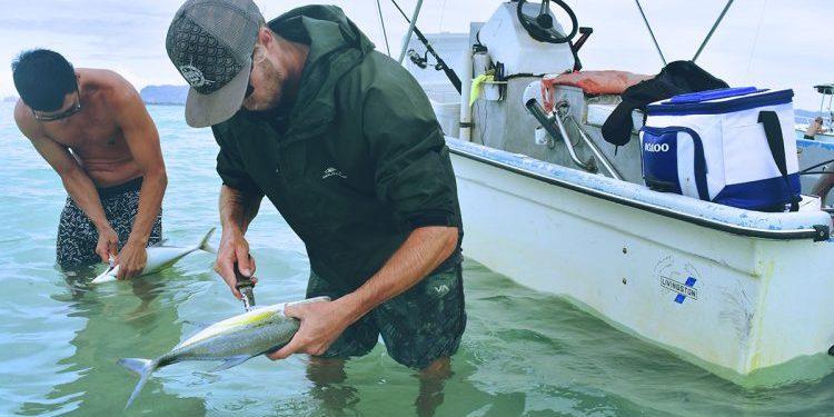 Guided Fishing Trips