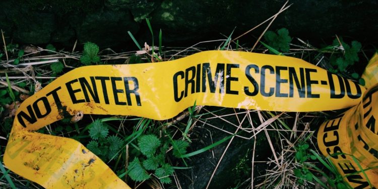 Man Found Stabbed, Bludgeoned to Death at Boy Scouts Campsite, Suspect Sought – NBC10 Philadelphia