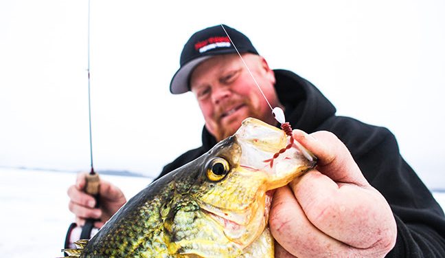 Top 5 Panfish Lures | IceFishingFIRST