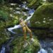 How I Discovered Fly Fishing Is More Relaxing Than a Massage