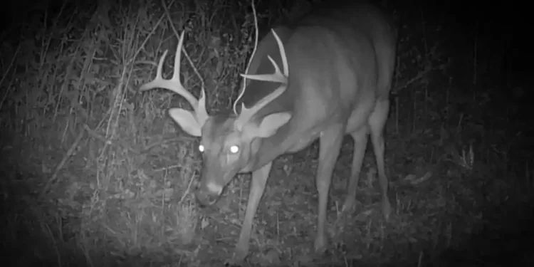 When to Make a Splash in Fishing