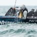 Top Fall Bass Fishing Tips from Whitewater