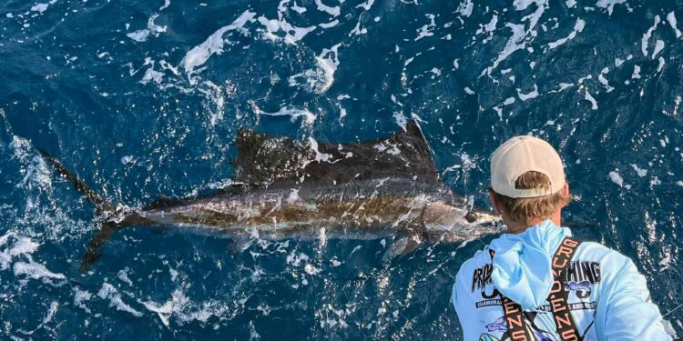 Can You Bring a Sailfish into the Boat?
