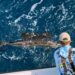 Can You Bring a Sailfish into the Boat?