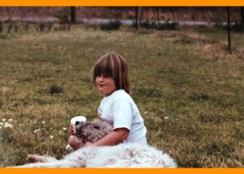 Hiking survival tips – Los Angeles Times