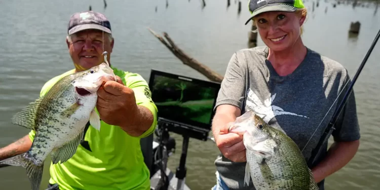 How to Catch Crappies in Standing Timber on Truman Lake