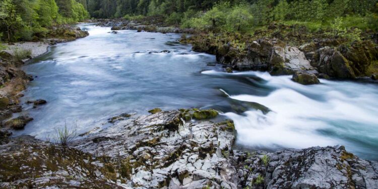 4 things all anglers should be thankful for in 2023 | Hatch Magazine