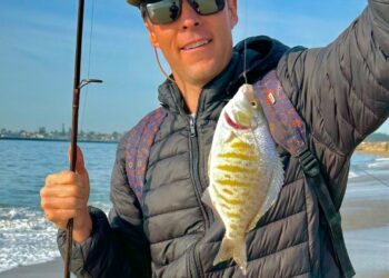 Expert offers tips for successful surf fishing