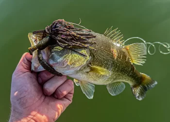Fishing a Jig Using Forward Facing Sonar