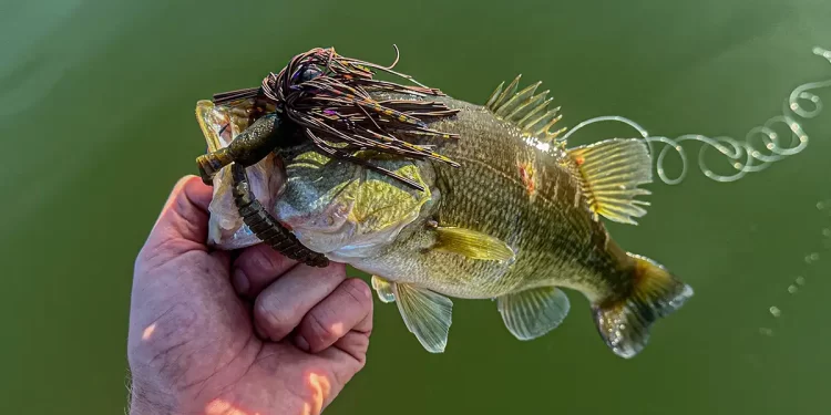 Fishing a Jig Using Forward Facing Sonar