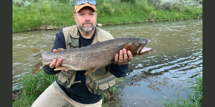 DWR shares 2023 record catches, trophy fishing tips