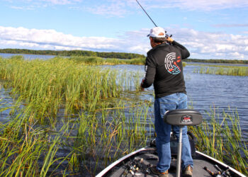 Catching largemouth bass in heavy cover
