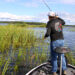 Catching largemouth bass in heavy cover