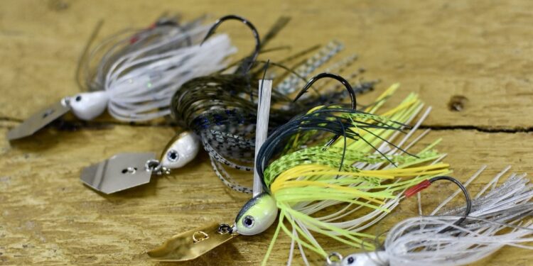 Tips for Optimizing Your Bass Fishing Experience