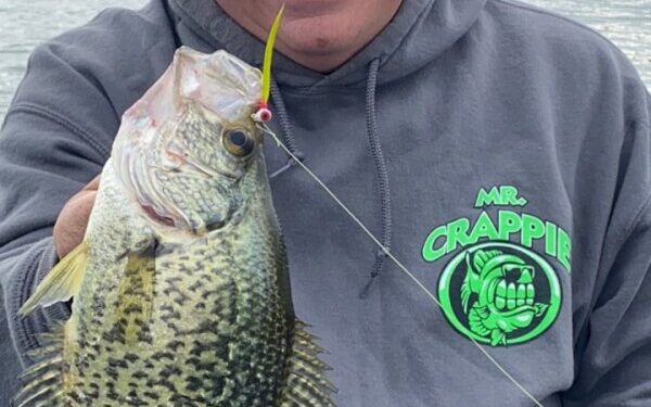 Frisch: Spring fishing tips – Alexandria Echo Press