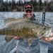 Bass Fishing Emerging Cover | Late Spring Tips