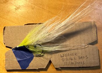 Fishing Guide Breaks World Record for Largest Striper on a Fly