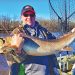 Minnesota’s Pro Fishing Tip of the Week: Catch a monster sturgeon on the river