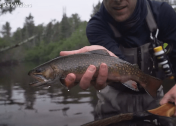 Iron River fly fishing guide shares journey from music industry to trout stream