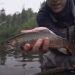 Iron River fly fishing guide shares journey from music industry to trout stream